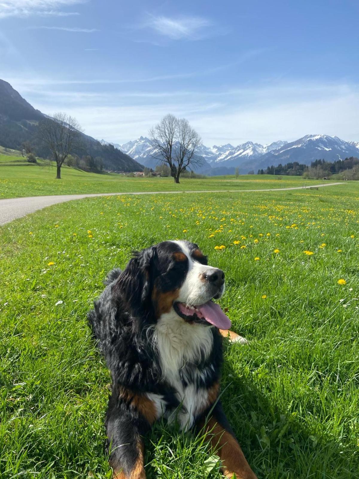 Hemerhof - Ferienwohnungen Oberstdorf Exterior foto