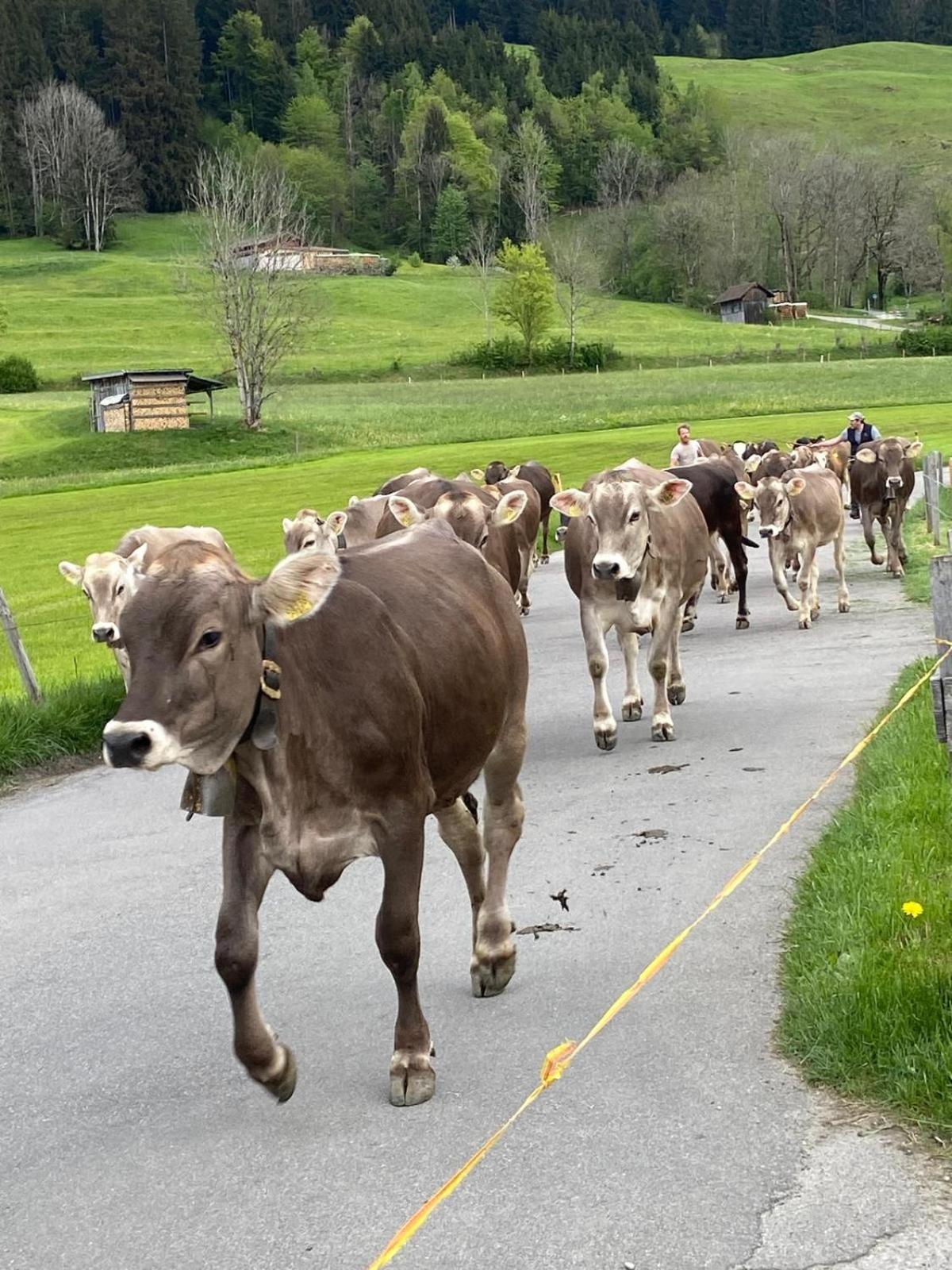Hemerhof - Ferienwohnungen Oberstdorf Exterior foto