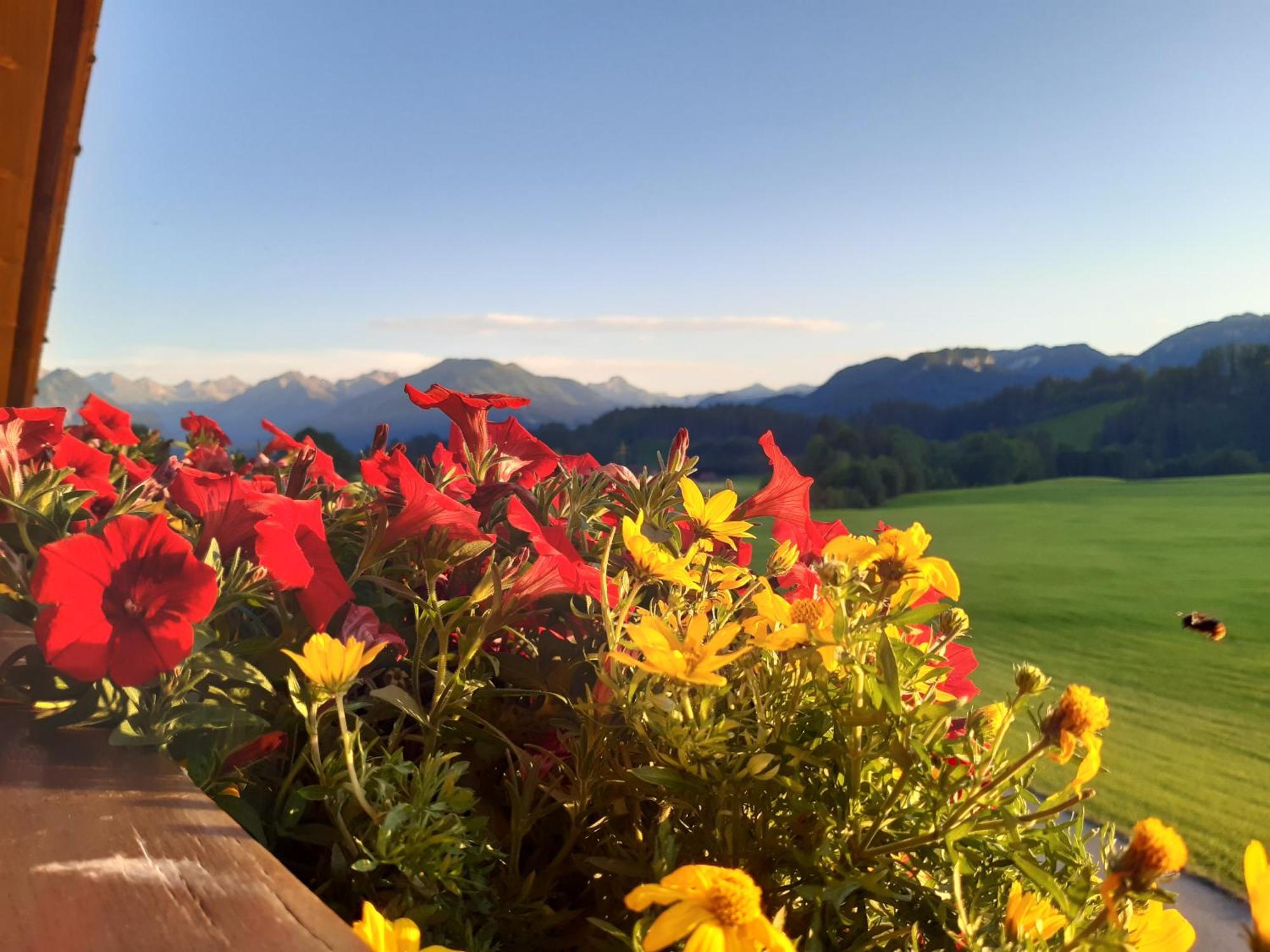 Hemerhof - Ferienwohnungen Oberstdorf Exterior foto