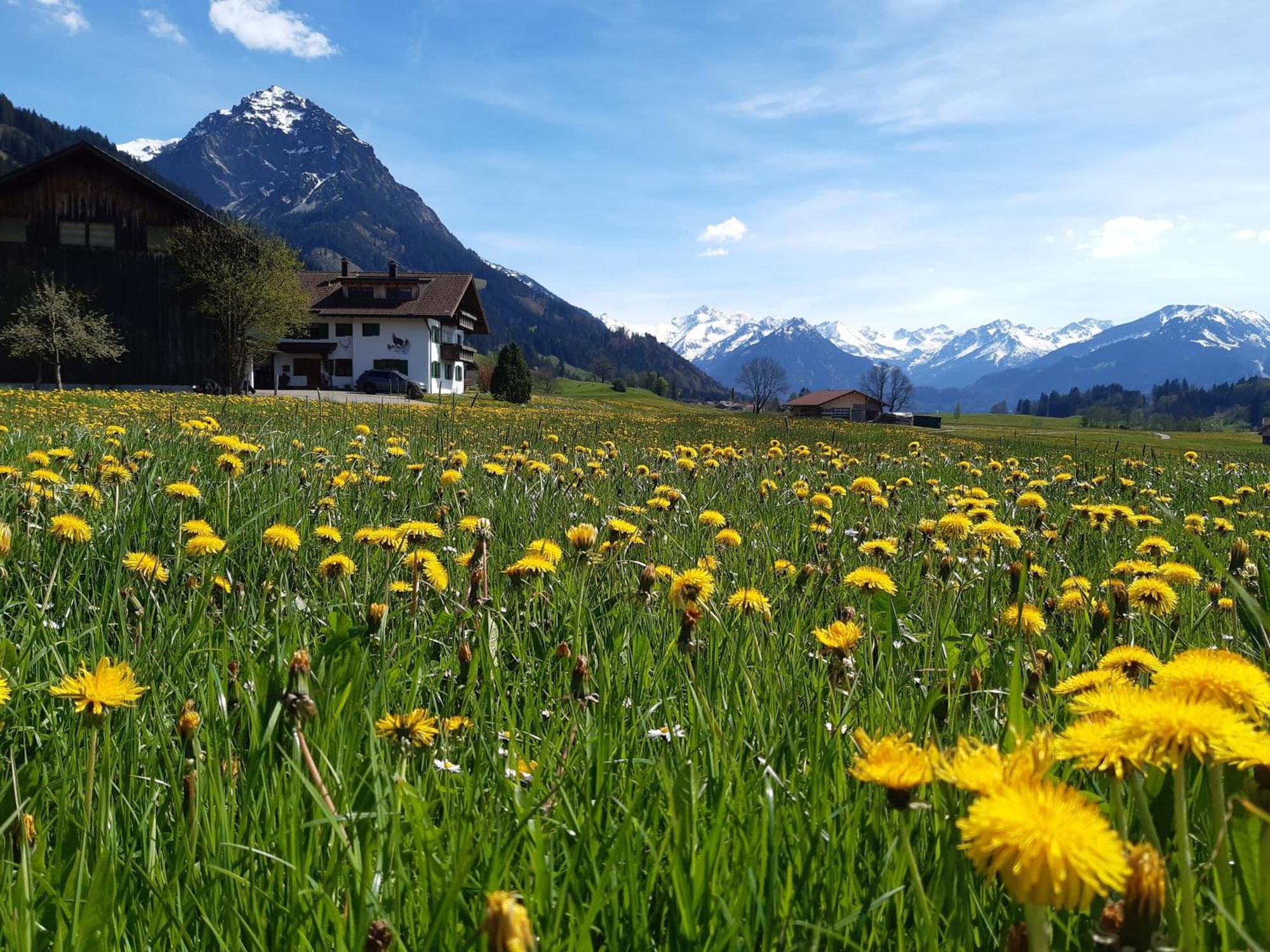 Hemerhof - Ferienwohnungen Oberstdorf Exterior foto